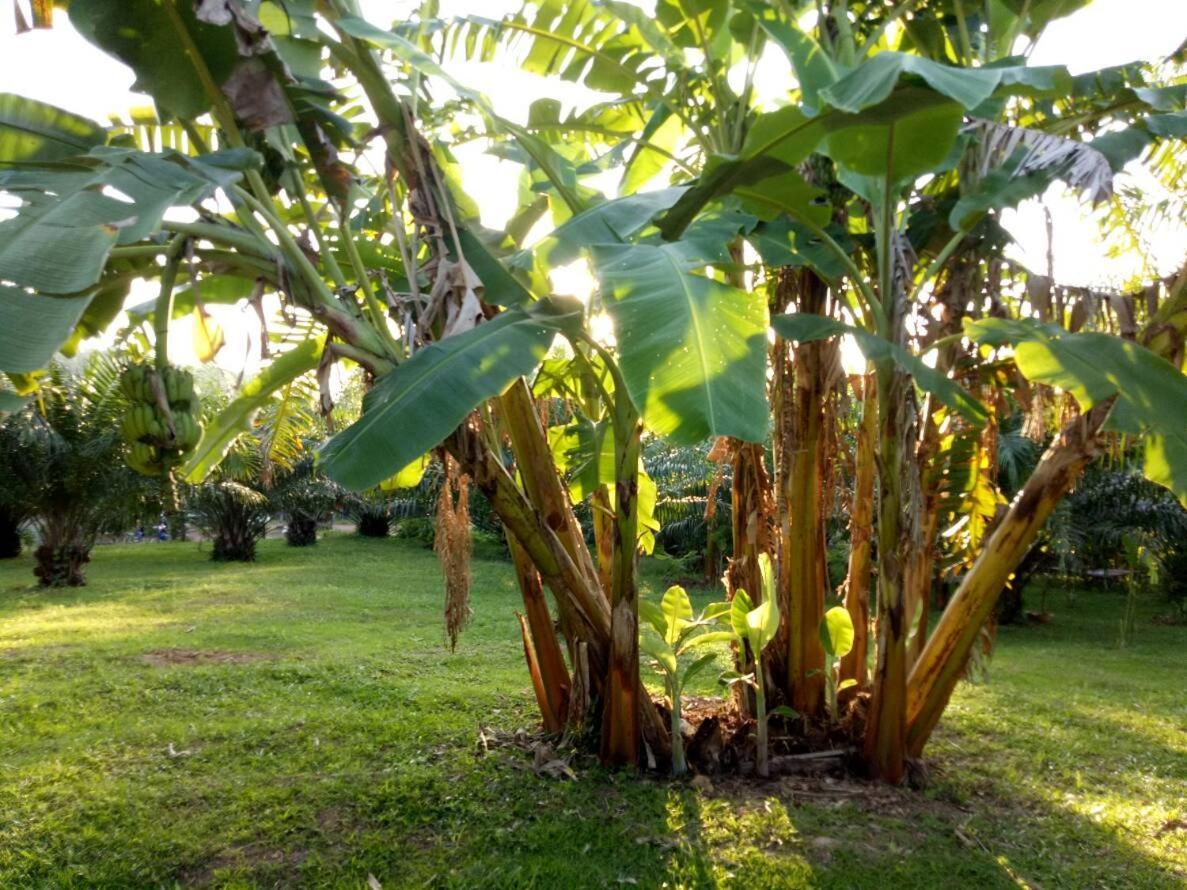 Baan Reenaa Lanta Koh Lanta Exterior foto