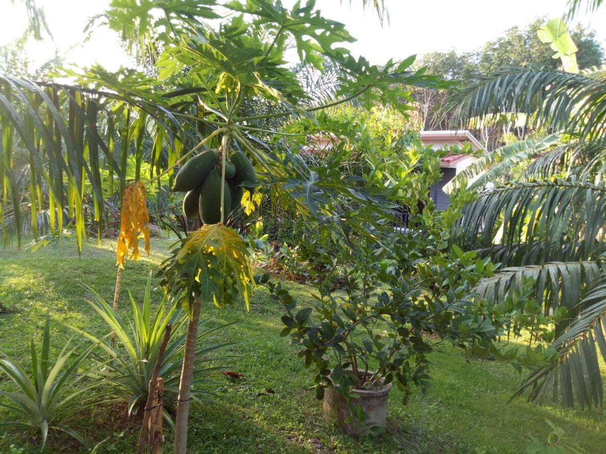 Baan Reenaa Lanta Koh Lanta Exterior foto